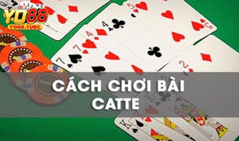 Luật chơi bài catte dễ hiểu cho tân binh